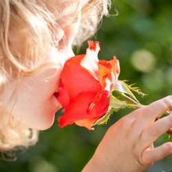 Beautiful child with flower
